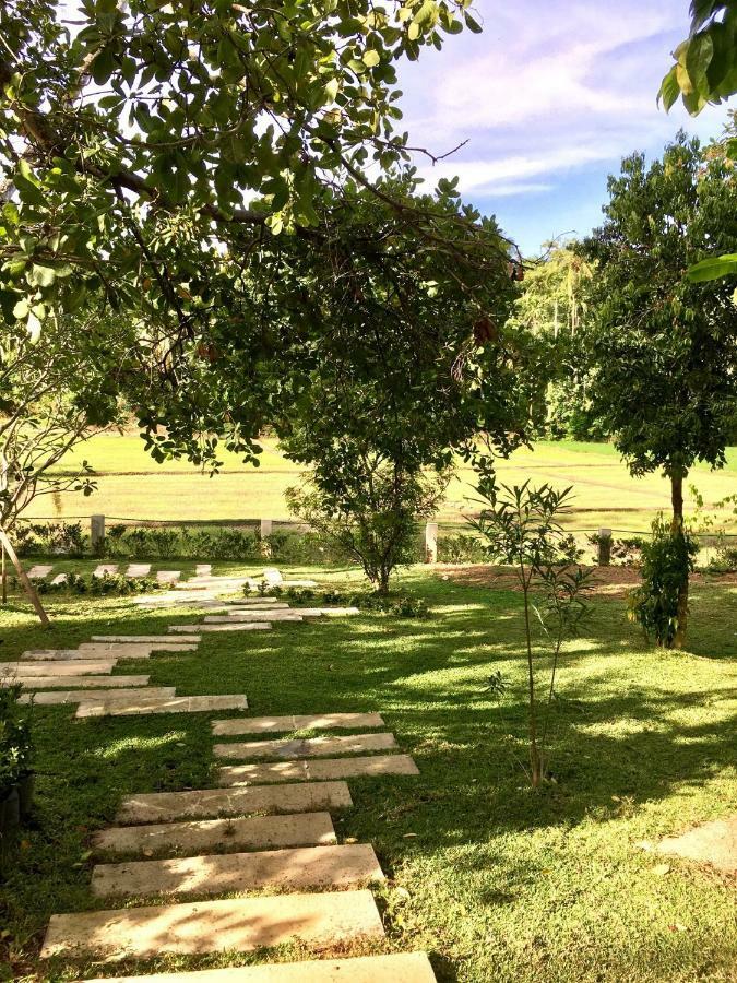 Uyana Boutique Hotel And Retreat Adults Only Ахангама Экстерьер фото