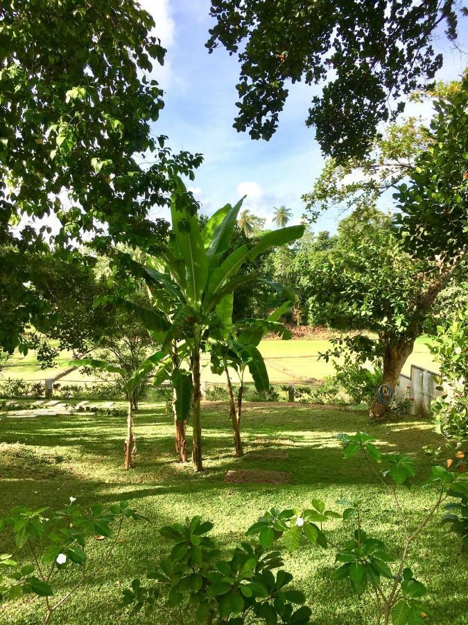 Uyana Boutique Hotel And Retreat Adults Only Ахангама Экстерьер фото